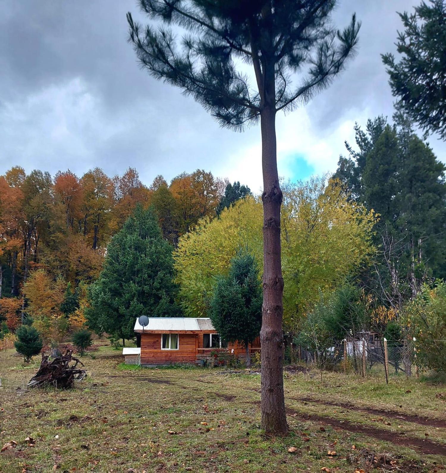 Cabana May Pao, Para 3 En Melipeuco Cerca Del Parque Nacional Conguillio Esterno foto